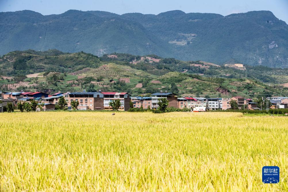 mg游戏账号登录